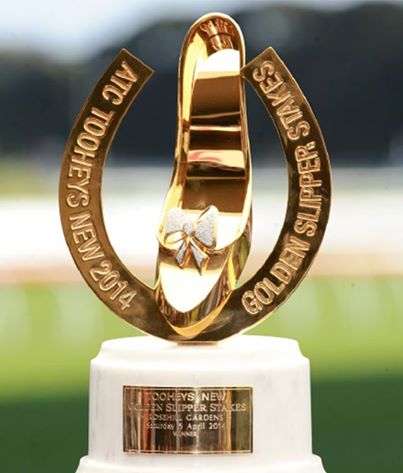 Koffels Golden Slipper Equestrian